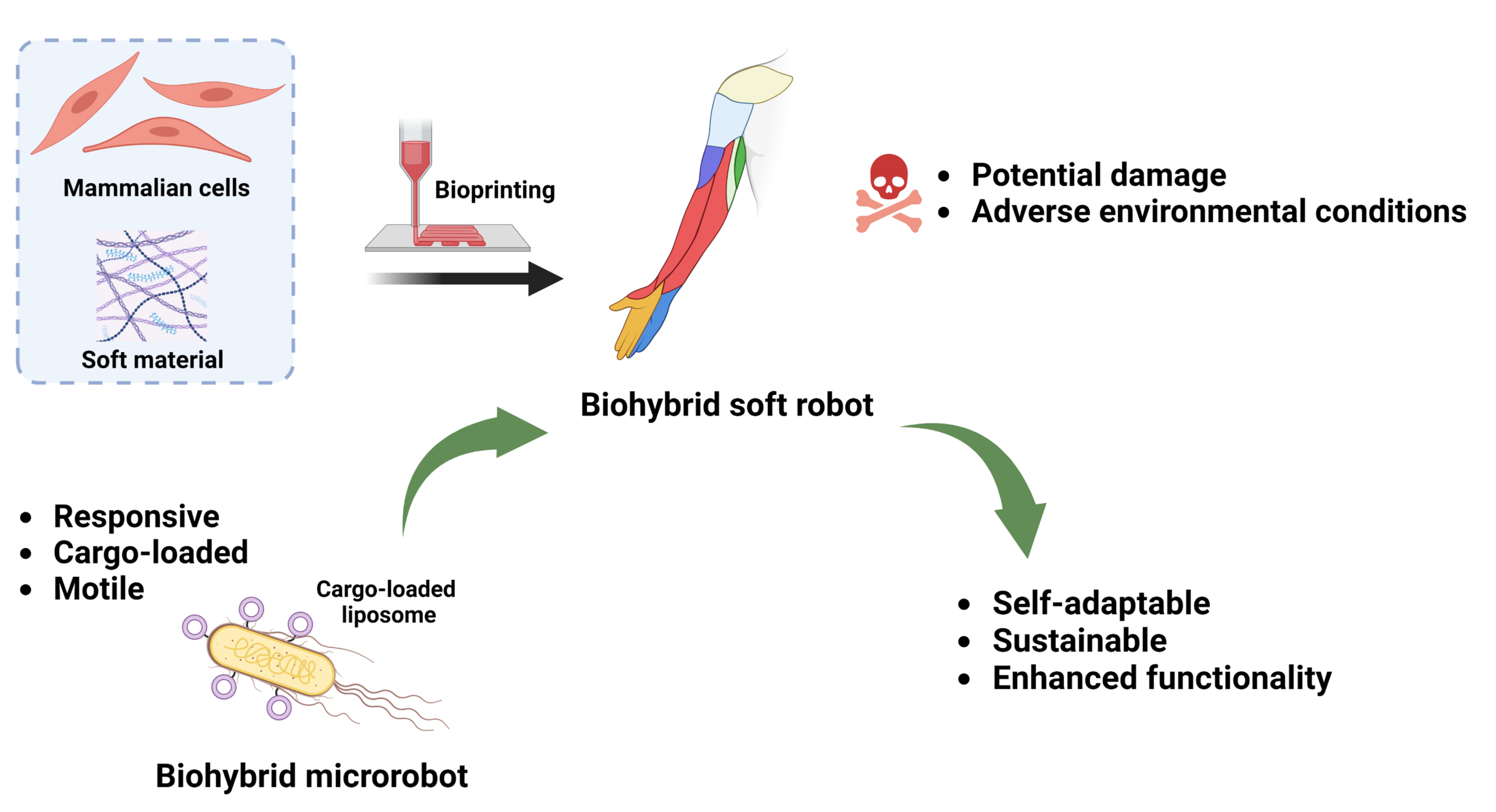 Biohybrid microrobots for damage detection and repair in large scale biohybrid systems