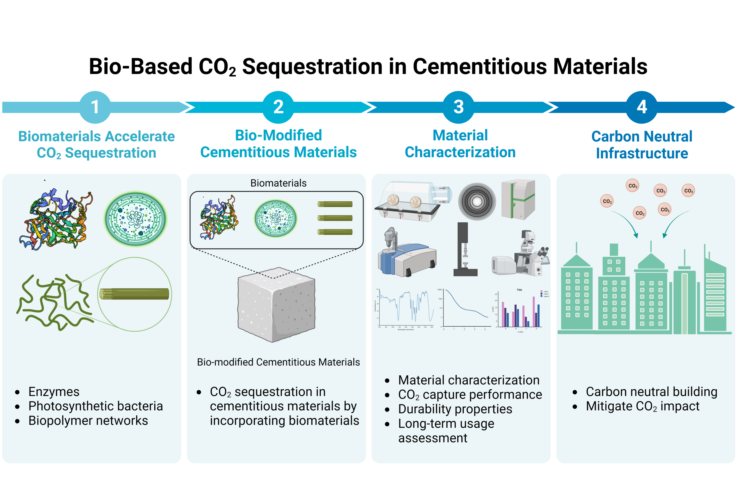 Bio-based CO2 sequestration in cementitious materials 