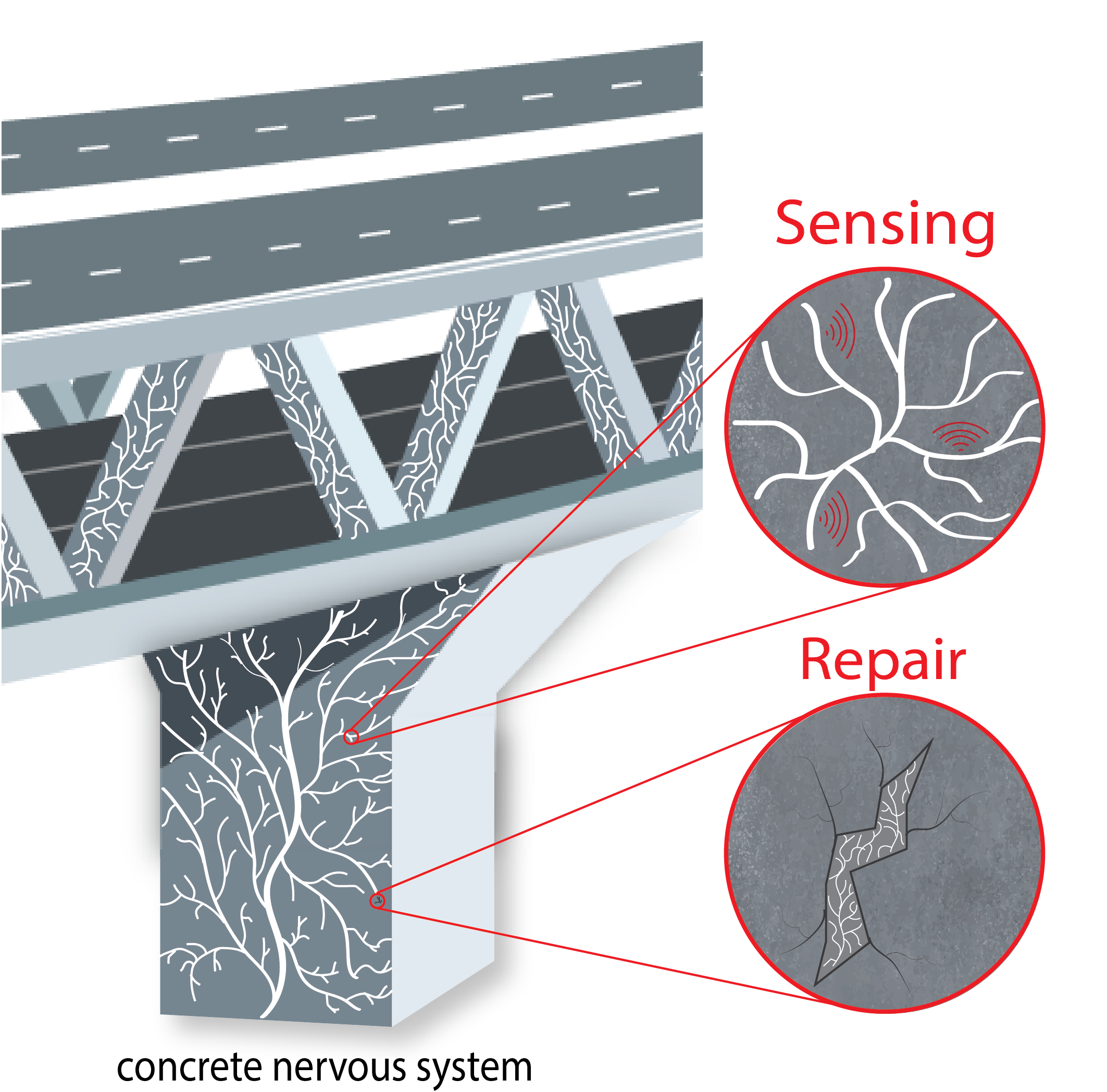 Integrating sensing capabilities in concrete structures